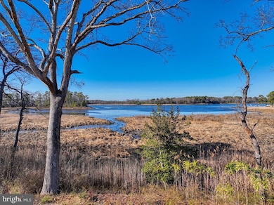 Lot 10 Possum Point Rd, Millsboro, DE 19966 - photo 4