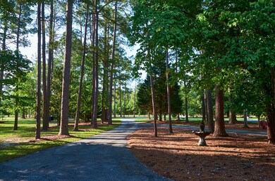 Exterior Front Yard