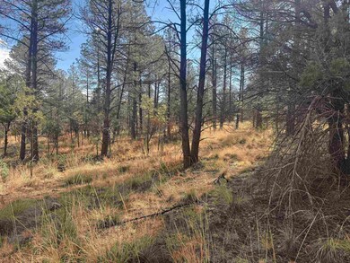 0 Summer Dr unit 171889, Timberon, NM 88350 - photo 2