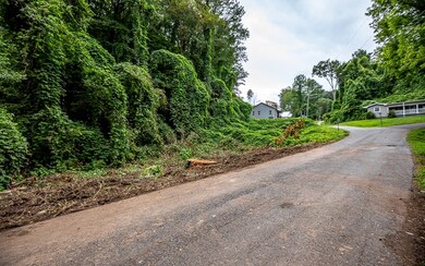 9 Logan Ln, Ellijay, GA 30540 - photo 2