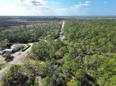 206 Suwannee Dr, Lake Placid, FL 33852 - photo 7