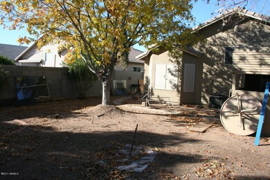 Backyard 2