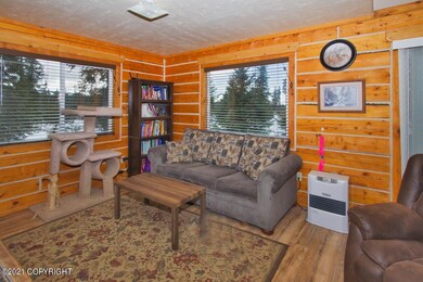 Living room and heater