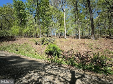0 Timber Ln, Shenandoah Retreat, VA 20135 - photo 3