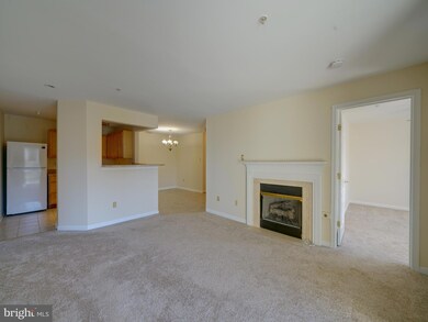 9101 Gracious End Ct unit 201, Columbia, MD 21046 - photo 6