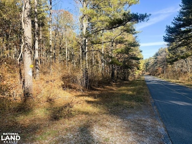 0 Pocket Rd, Lafayette, GA 30728 - photo 2