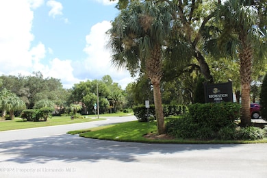 0 Echo Mountain Dr unit 2240557, Hudson, FL 34667 - photo 3