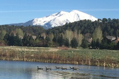 Wildlife enjoying the pond