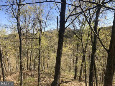 29 Ashton Woods Dr, Old Fields, WV 26836 - photo 4