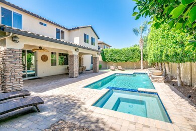 Backyard Oasis