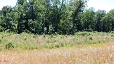 206 Hugh White State Park Rd, Grenada, MS 38901 - photo 5