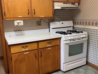 313 S Race St, New Carlisle, IN 46552 - photo 5