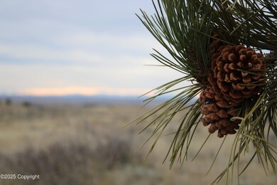 Tract B-6 Broad Axe Rd, Gillette, WY 82718 - photo 5