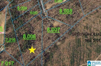 00007 Springhollow Dr, Ashville, AL 35953 - photo 4