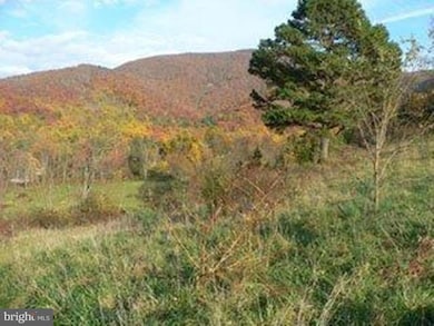 0 Pine Grove Rd unit 1000201933, Stanley, VA 22851 - photo 3