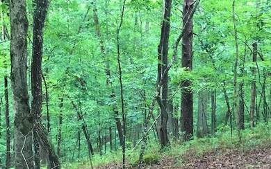 Additional View