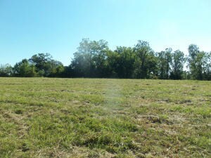 485 Wolf Springs Rd, Harrison, AR 72601 - photo 3