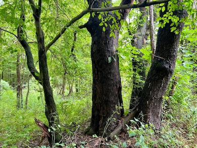 0 Benjamin Franklin Hwy, Ebensburg, PA 15931 - photo 4