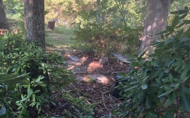 Additional View