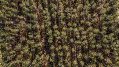 8077 W 8 Mile Rd, Irons, MI 49644 - photo 5