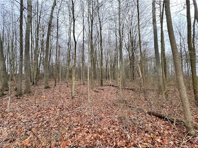 00 Rd, Kinsman, OH 44428 - photo 5