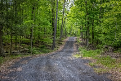 0 Mossy Hill Rd unit KEY862648, Catskill, NY 12414 - photo 2