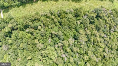 306 Old Mill Rd, Conowingo, MD 21918 - photo 7