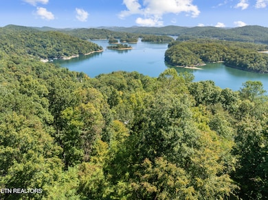 1130 Lakeview Dr, Sharps Chapel, TN 37866 - photo 5