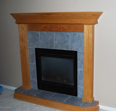 Living Room Fireplace