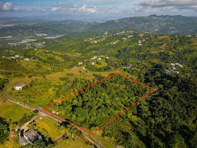 Bo Beatriz Fincas Mi Recreo 3 Carr 1, Caguas, PR 00725 - photo 5