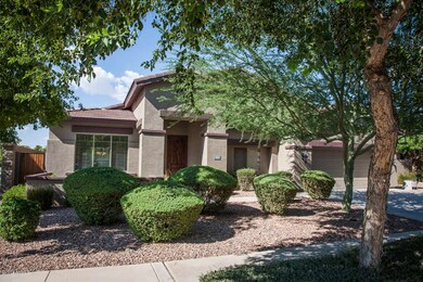4224 E Reins Rd-7943