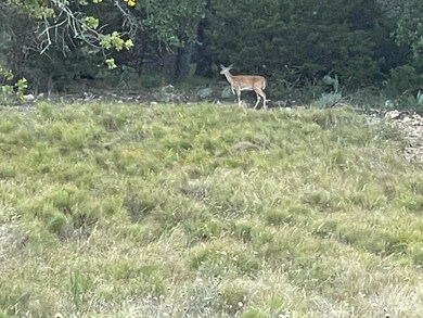 unlisted-address, San Saba, TX 76877 - photo 7