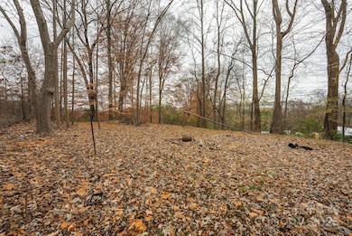 9336 Pinewood Ave, Charlotte, NC 28214 - photo 5