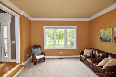 1035 Hodge Ln, Batavia, IL 60510 - photo 7