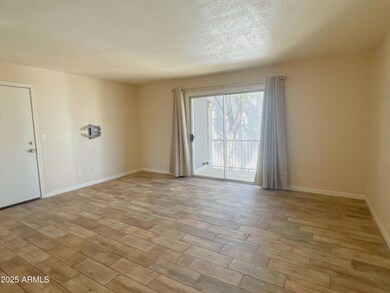 740 W Elm St unit 243, Phoenix, AZ 85013 - photo 6