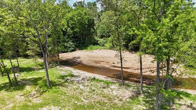 42.83 acres Rose Trail, Melbourne, AR 72556 - photo 5