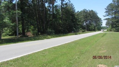 0 Oak St, Conway, SC 29526 - photo 4