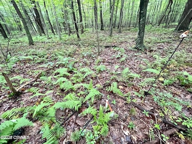 20230814235739584992000000-o