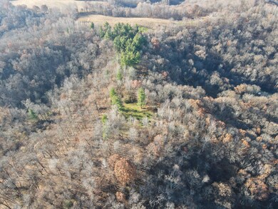 0 County Road D unit 1943225, Ettrick, WI 54627 - photo 7