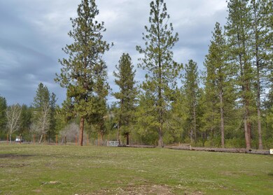Side Yard
