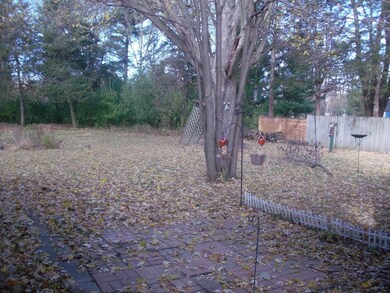 Back Yard View