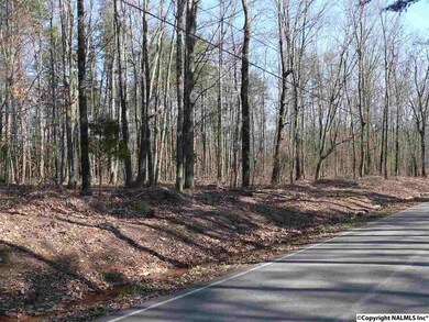 5025 Willow Dr SE, Huntsville, AL 35803 - photo 7