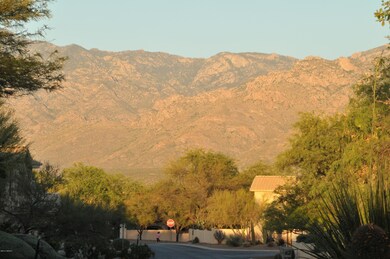 Mountain view from front yard to the eas