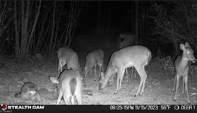 00 Caudle Rd, Pinnacle, NC 27043 - photo 5