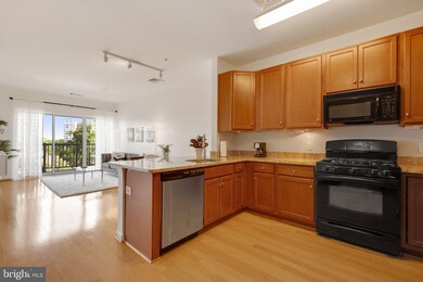 8045 Newell St unit 415, Silver Spring, MD 20910 - photo 4
