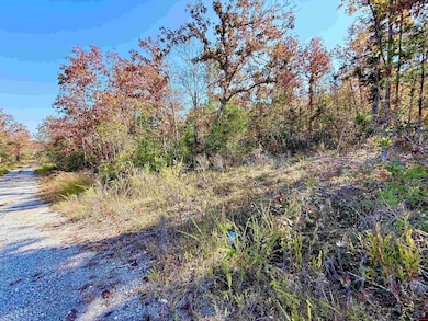 010-01589-000 Canmore Dr, Briarcliff, AR 72653 - photo 6