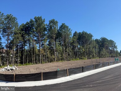 36022 Jackson St, Ocean View, DE 19970 - photo 7