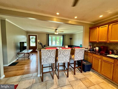 8362 Powder Ln, Zionsville, PA 18092 - photo 7