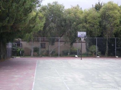 Basketball Court