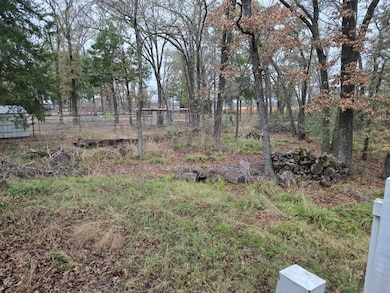 14261 Clark Ln, Wills Point, TX 75169 - photo 2